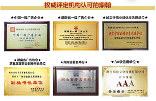 潮流与科技的交融 从时尚耳挂式蓝牙耳机看文化传播新风尚